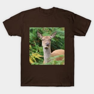 Red Deer T-Shirt